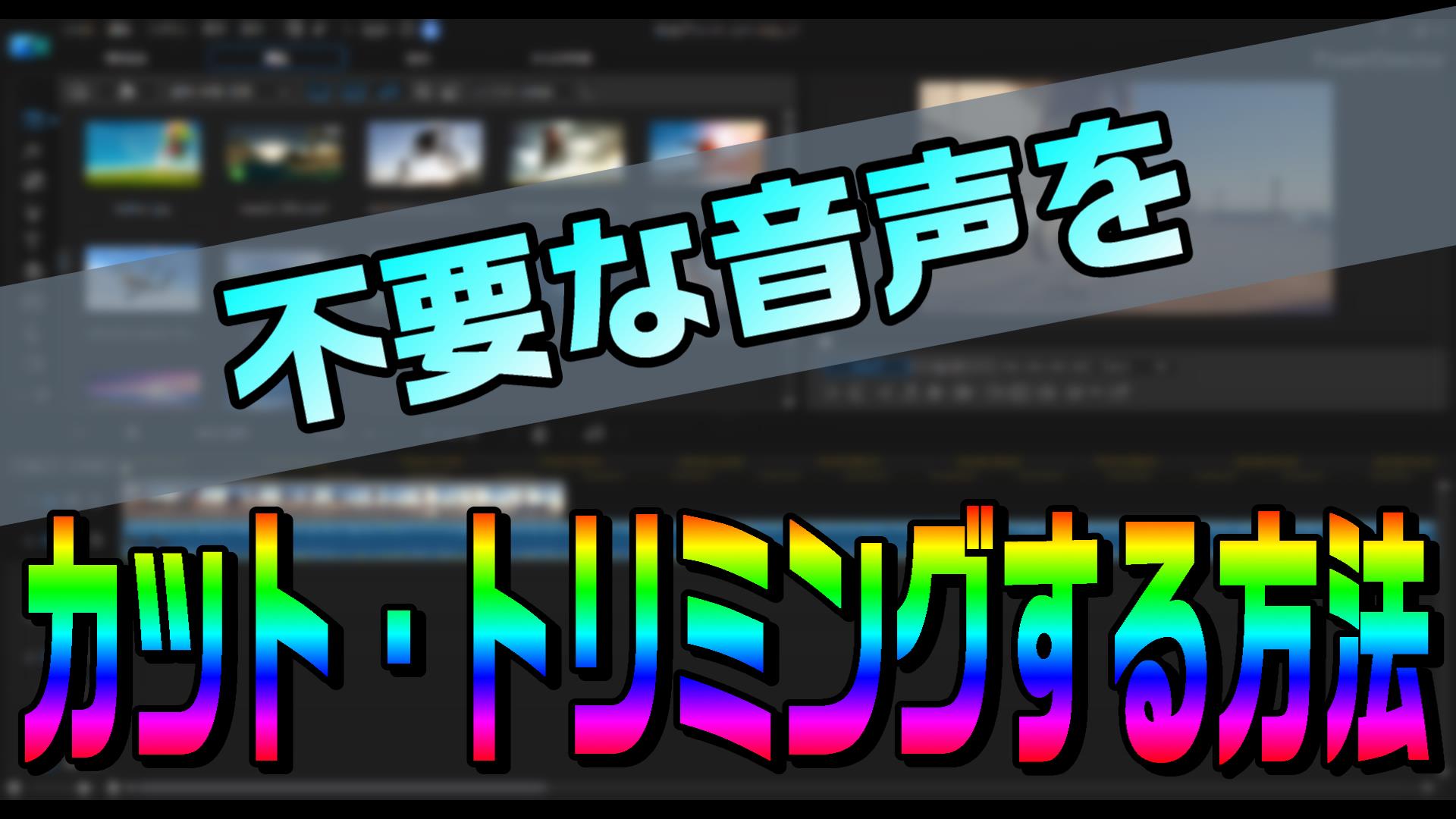 動画編集で 音声をトリミングする方法 やり方 不要な会話などをカットできるよ Powerdirector編 動画編集のススメ