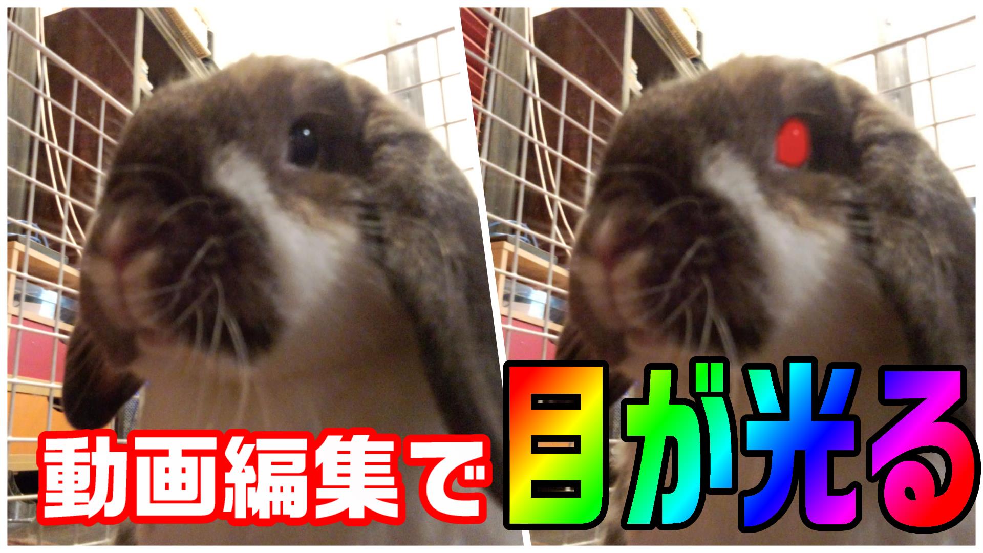 動画編集で 目が光るエフェクトの作り方 Powerdirector編 動画編集のススメ 動画編集で 目が光るエフェクトの作り方 Powerdirector編 動画編集のススメ