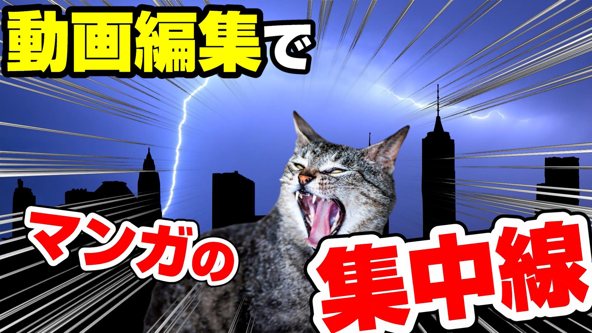 編集中 カワサキGPZシリーズから世界最速を受け継いだZX-10！【このバイクに